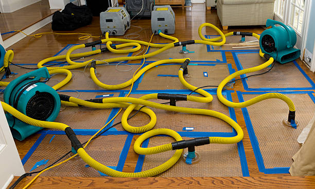 Professional Basement Flood Cleanup technician working in North Adams, MA